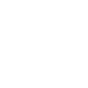 Data-Obsessed