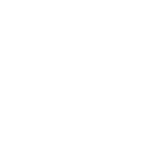 Autonomy Focused