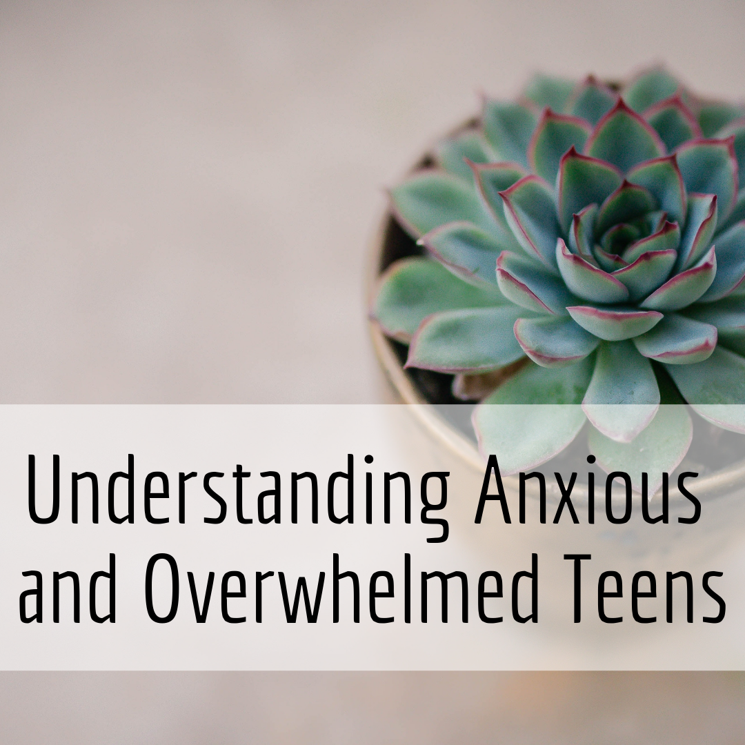 img-5d2f6e8bd83c520001183982